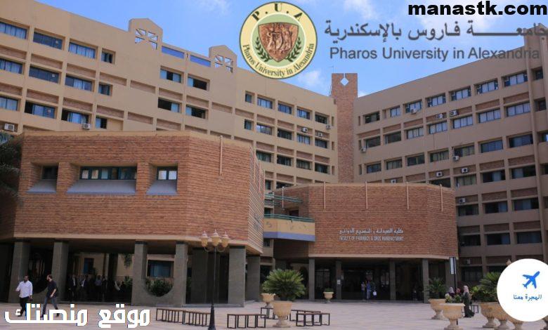 pharos university in alexandria majors 780x470 1