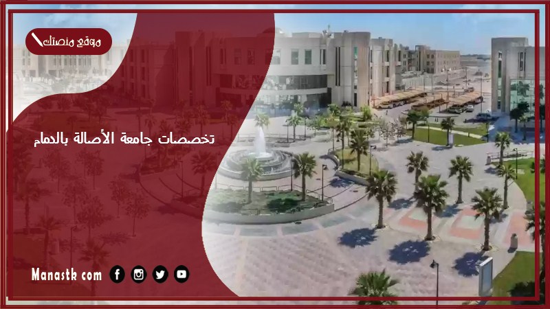 تخصصات جامعة الأصالة بالدمام 1446 جامعة الاصالة