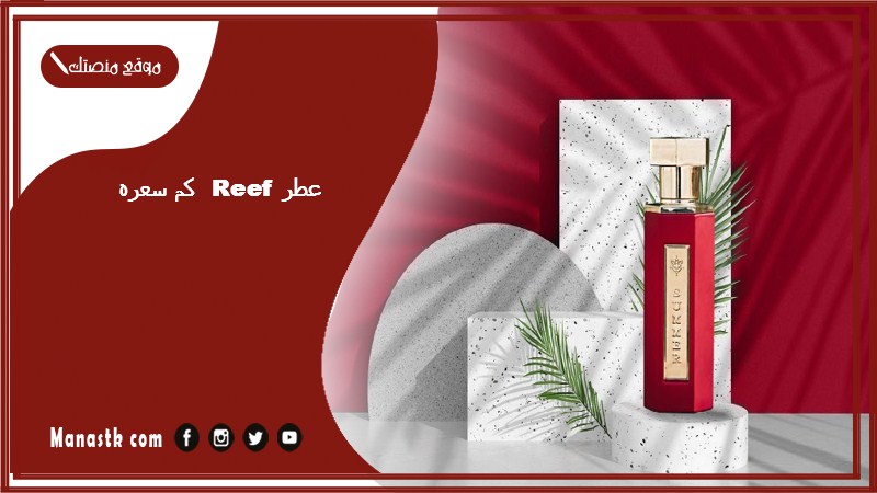 عطر reef كم سعره؟ reef عطور