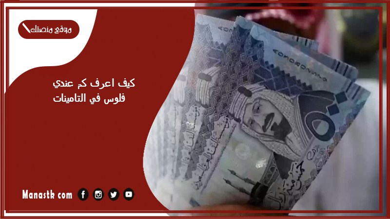 كيف اعرف كم عندي فلوس في التامينات؟ مبلغ تعويض التعطل عن العمل المتوقع ساند 1446