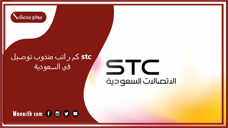 كم راتب مندوب توصيل stc في السعودية 1446