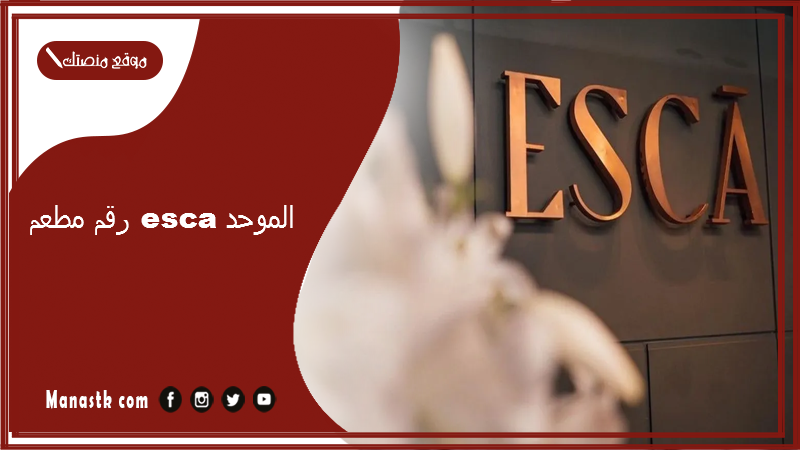 رقم مطعم esca الموحد