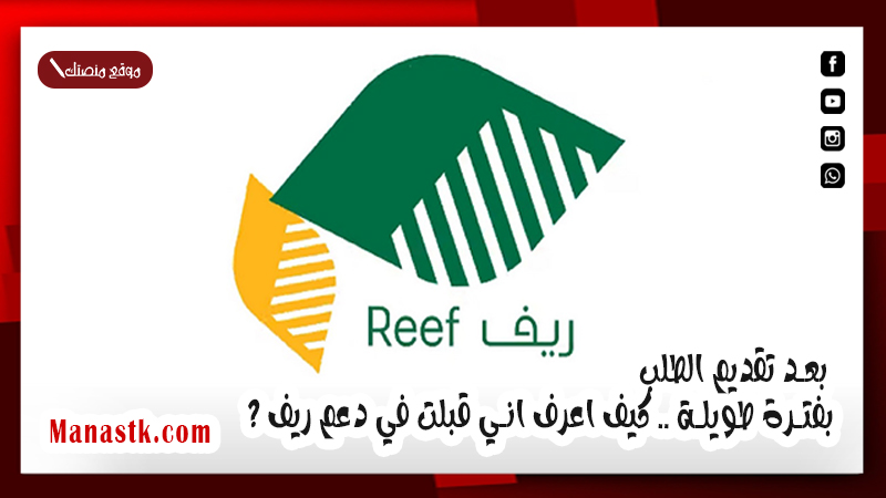 بعد تقديم الطلب بفترة طويلة .. كيف اعرف اني قبلت في دعم ريف ؟