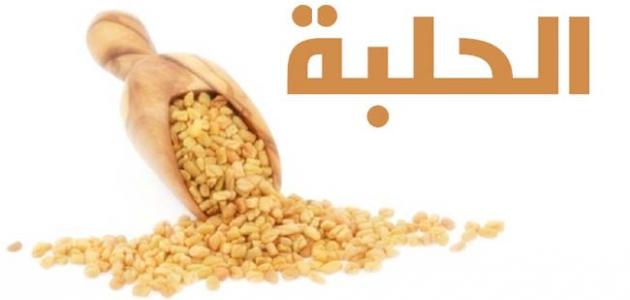 فوائد الحلبة للبشرة وماسكات طبيعية منها