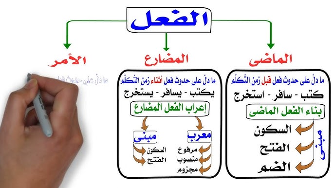 إعراب الفعل الماضي 2