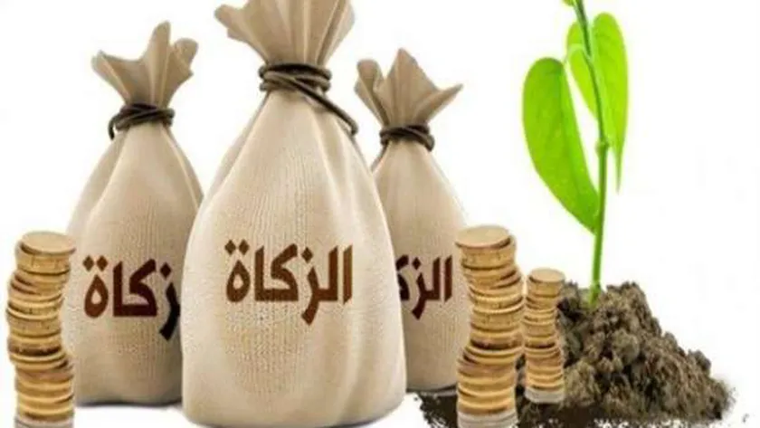 إعطاء زكاة الفطر للأبناء