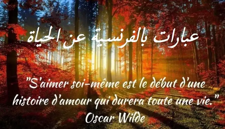 حكم نادرة وقوية بالفرنسية 0