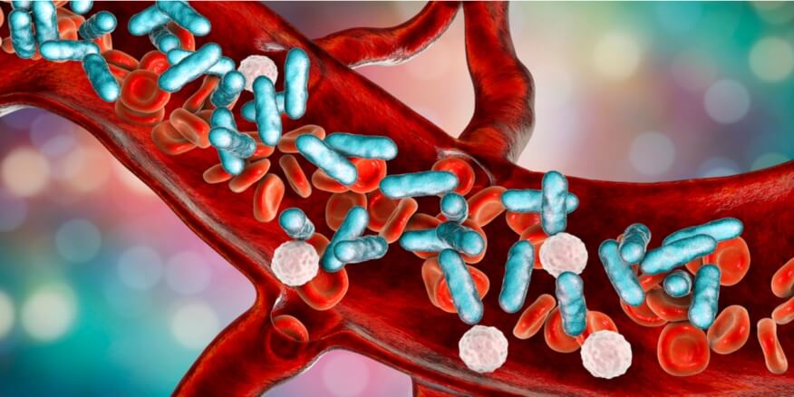 علاج بكتيريا الدم