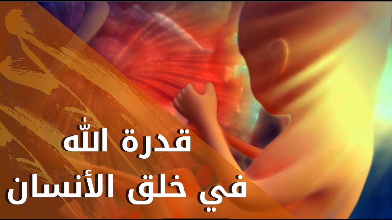 قدرة الله في خلق الإنسان